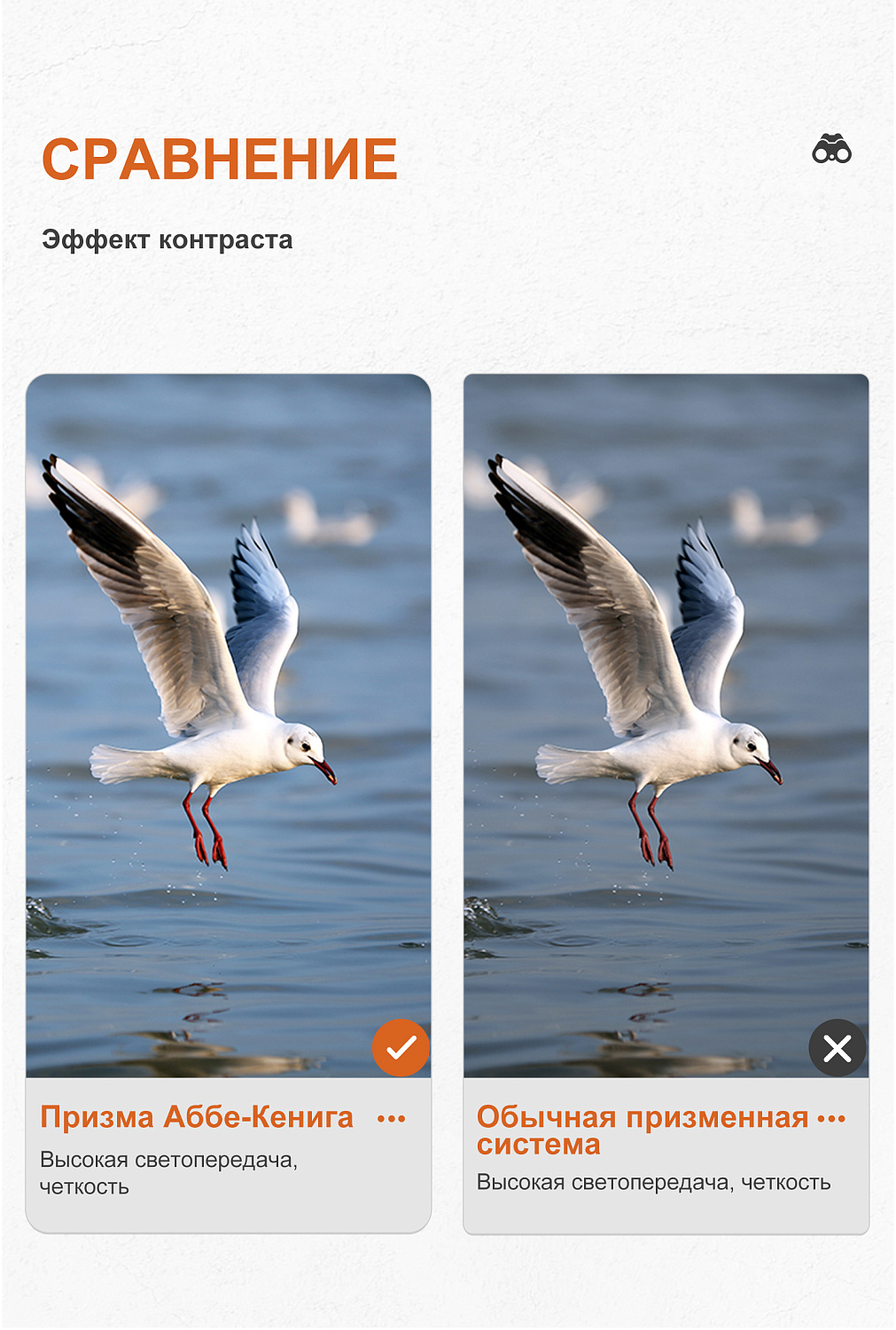 Бинокль Eyeskey Zenith ED -10x42