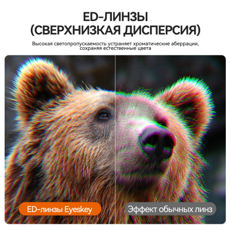 Бинокль Eyeskey Vigil - 10x42 EyeS-B151 от прозводителя Eyeskey
